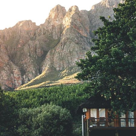 Maison d'hôtes Tulbagh Mountain Manor à Le Cap Extérieur photo